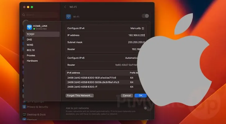 為什麼要更改我的MAC和IP位址?